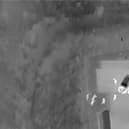 Suspects located by drone in dark undergrowth.