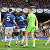 Jordan Pickford of Everton reacts during the Premier League match between Everton FC and Newcastle United FC at Goodison Park on October 05, 2024 in Liverpool, England. (Photo by Matt McNulty/Getty Images)