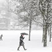 A member of the public walks through the snow in Victoria Park in Glasgow in February 2021 (Photo: ANDY BUCHANAN/AFP via Getty Images)