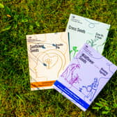 ‘Seeds of Change’ has been launched by HMPPS as part of a new recruitment drive that encourages people to combine their passion with their career for something more fulfilling
