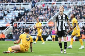Anthony Gordon of Newcastle United reacts following a missed chance during the Premier League match between Newcastle United FC and Brighton & Hove Albion FC at St James' Park on October 19, 2024 in Newcastle upon Tyne, England.