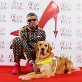 Bill with his Guide Dog handler Mohammed Ibrahim on the red carpet of The Devil Wears Prada at Dominion Theatre