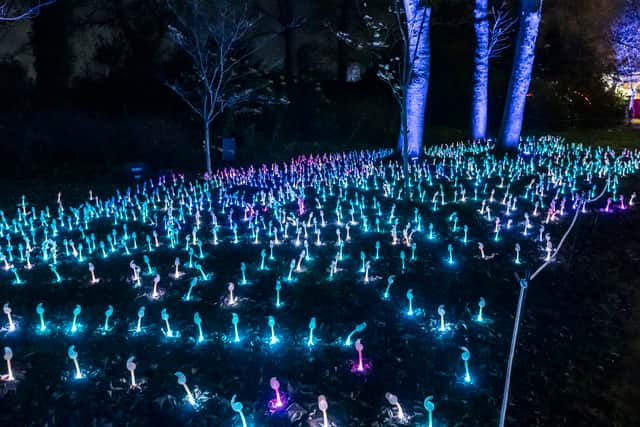 A variety of light installations will be on display in Leazes Park throughout the festive period.