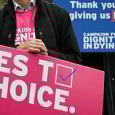 Campaigners for 'dignity in dying' hold a demonstration outside the Houses of Parliament (Picture: Justin Tallis)