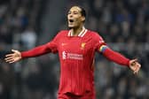 Virgil van Dijk of Liverpool during the Premier League match between Newcastle United FC and Liverpool FC at St James' Park. (Photo by Justin Setterfield/Getty Images)