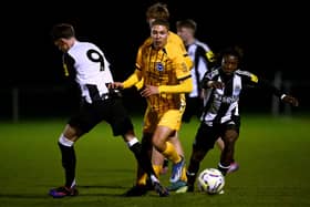 Theo Outen of Brighton & Hove Albion is challenged by Sean Neave and Trevan Sanusi of Newcastle United during the The FA Youth Cup 3rd round match.  (Photo by Stu Forster/Getty Images)