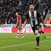 Federico Fernandez has announced his retirement from professional football.