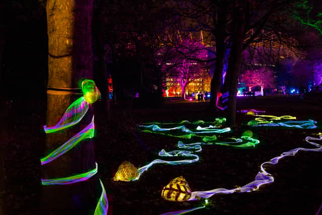 Stevie's Psychedelic Snails was a joint project with the  Alan Shearer Centre and funded by Arts Council England.