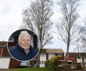 Worcester City Council insists the tree in Columbia Drive poses no immediate risk and has issued a protection order for it. Inset: Chris Davis 
