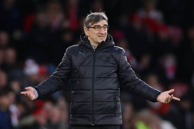 Ivan Juric, Manager of Southampton, reacts during the Premier League match between Southampton FC and Newcastle United FC at St Mary's Stadium on January 25, 2025 in Southampton, England. (Photo by Ryan Pierse/Getty Images)