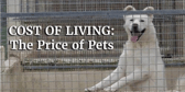 Price of Pets thumbnail image