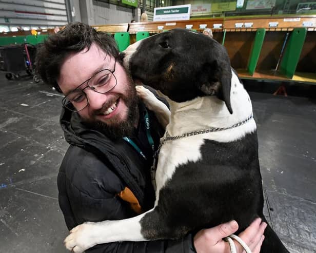 SANDWELL COPYRIGHT NATIONAL WORLD  TIM THURSFIELD -06/03/25First day of Crufts at NEC, Birmingham.Reporter Daniel Walton with Murphy from Dudley.
