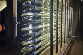 The Green Machine which converts gases released from sewage into fuel.