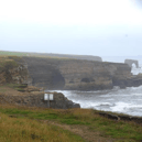 Proposals have been submitted to build a native oyster reef off the coast of Whitburn.