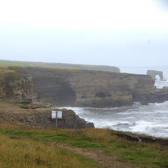 Proposals have been submitted to build a native oyster reef off the coast of Whitburn.