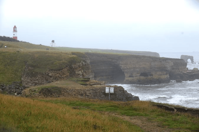 Proposals have been submitted to build a native oyster reef off the coast of Whitburn.