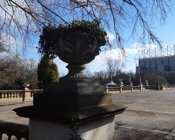 The prospect of the city’s oldest green space having a football stadium built on it has left members of Save Newcastle Wildlife dismayed