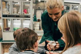 Pets at Home are set to run free workshops for children throughout the Easter period.