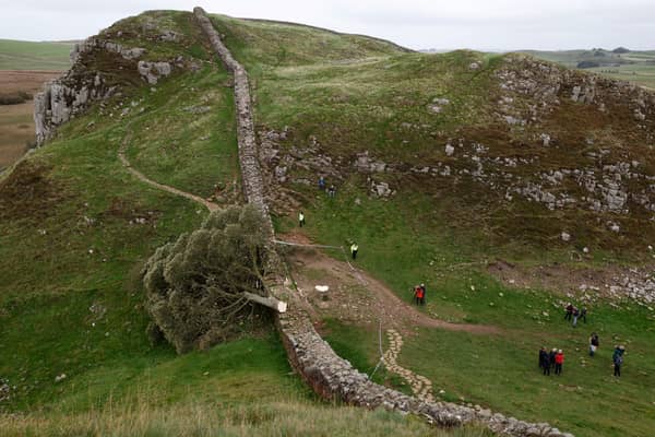 The trial date for two men accused of felling the world famous Sycamore Gap tree has been set.