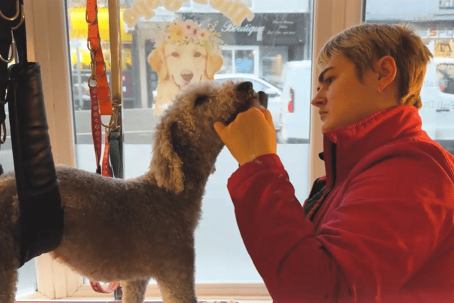Rebecca Brown, the owner of The Dog Spa Durham, has given an insight into a day in the life of a dog groomer.