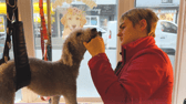 Rebecca Brown, the owner of The Dog Spa Durham, has given an insight into a day in the life of a dog groomer.