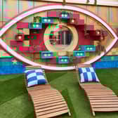 Take a look at the garden in the CBB house this year. 