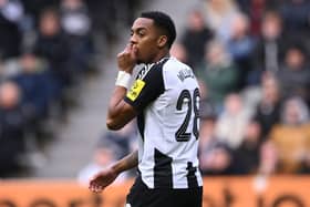 NEWCASTLE UPON TYNE, ENGLAND - MARCH 02: Joe Willock of Newcastle United reacts after missing a good chance during the Emirates FA Cup Fifth Round match between Newcastle United and Brighton & Hove Albion at St James' Park on March 02, 2025 in Newcastle upon Tyne, England. (Photo by Stu Forster/Getty Images)
