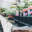 These are some of the best garden centres in the North East
