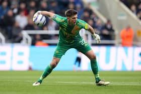 Nick Pope of Newcastle United rolls the ball during the Premier League match between Newcastle United FC and Crystal Palace FC at St James' Park on April 16, 2025 in Newcastle upon Tyne, England. (Photo by George Wood/Getty Images)