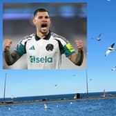 Newcastle United skipper Bruno Guimaraes has been spotted by the seaside this week, after the Magpies cement their Champions League charge.