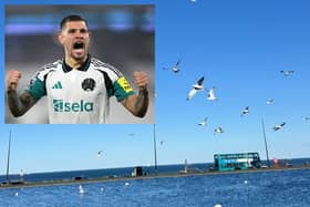 Newcastle United skipper Bruno Guimaraes has been spotted by the seaside this week, after the Magpies cement their Champions League charge.