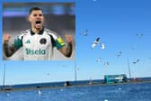 Newcastle United skipper Bruno Guimaraes has been spotted by the seaside this week, after the Magpies cement their Champions League charge.