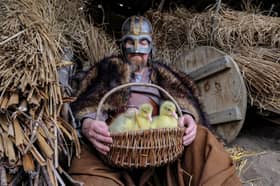 Six baby goslings are set to become the latest fluffy little stars to join Kynren : An Epic Tale of England, having hatched just before Easter.