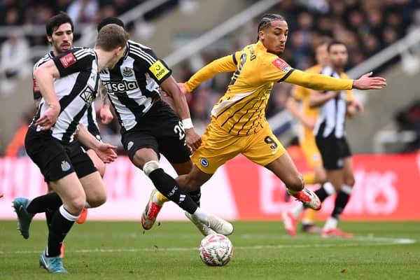 Joao Pedro (right) pictured in action against Newcastle United last month