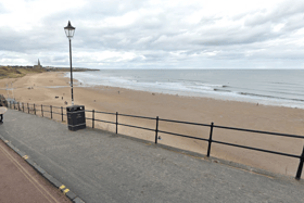 Dogs are set to be banned from a number of North Tyneside beaches from next week.