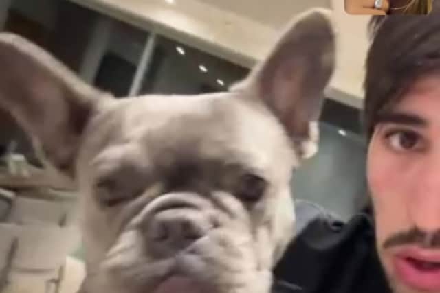 Newcastle United Carabao Cup hero Sandro Tonali with his dog, on a video call to soon-to-be wife, Juliette Pastore.