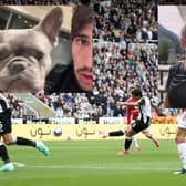 Newcastle United WAG Juliette Pastore shares a snap of Magpies' hero Sandro Tonali on a video call with their dog, while she is away in Miami.