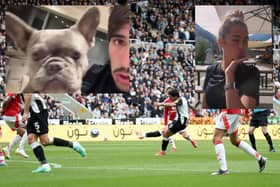 Newcastle United WAG Juliette Pastore shares a snap of Magpies' hero Sandro Tonali on a video call with their dog, while she is away in Miami.