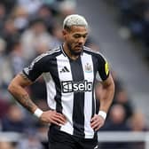 Joelinton of Newcastle United looks on during the Premier League match between Newcastle United FC and Crystal Palace FC at St James' Park on April 16, 2025 in Newcastle upon Tyne, England. (Photo by George Wood/Getty Images)