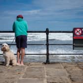 Dog owners could face fines of £1,000 if they take their dogs to the beach this summer.