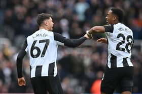 Newcastle United's English midfielder #67 Lewis Miley (L) celebrates with Newcastle United's English midfielder #28 Joe Willock (R) after scoring their first goal during the English Premier League football match between Newcastle United and Nottingham Forest at St James' Park in Newcastle-upon-Tyne, north east England on February 23, 2025. (Photo by ANDY BUCHANAN / AFP)   