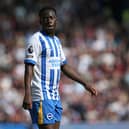 Yankuba Minteh of Brighton & Hove Albion during the Premier League match between Brighton & Hove Albion FC and West Ham United FC at Amex Stadium on April 26, 2025 in Brighton, England. (Photo by Steve Bardens/Getty Images)