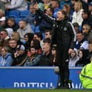 Newcastle United's English head coach Eddie Howe reacts during the English Premier League football match between Brighton and Hove Albion and Newcastle United at the American Express Community Stadium in Brighton, southern England on May 4, 2025. (Photo by Glyn KIRK / AFP)    