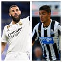 Karim Benzema (left) and Newcastle United maverick Hatem Ben Arfa