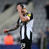 Bruno Guimaraes of Newcastle United looks dejected following the team's defeat during the Emirates FA Cup Fifth Round match between Newcastle United and Brighton & Hove Albion at St James' Park on March 02, 2025 in Newcastle upon Tyne, England. (Photo by Stu Forster/Getty Images)