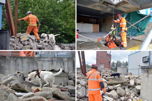 The dogs and their handlers being put through their paces.