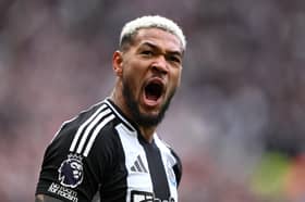 Newcastle United powerhouse Joelinton