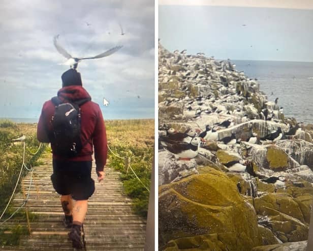 A couple from Garstang have spoken out about their frightening ordeal of being viciously attacked by seabirds at least 20 times