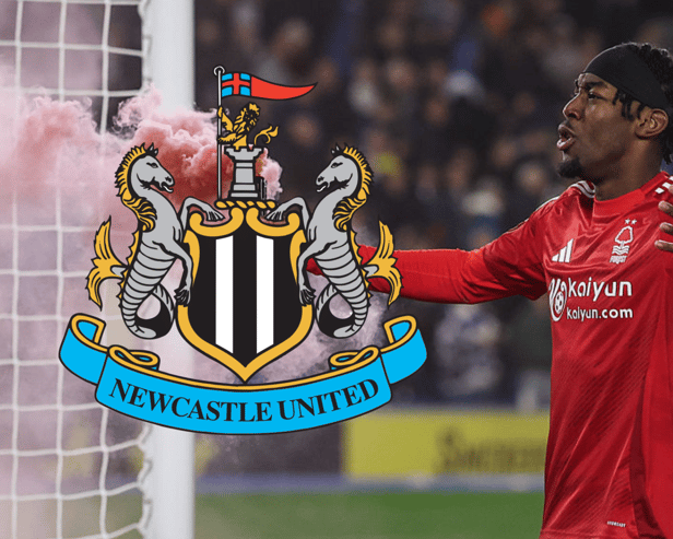 Newcastle United are close to signing Nottingham Forest winger Anthony Elanga. (Photo credit: Getty Images)