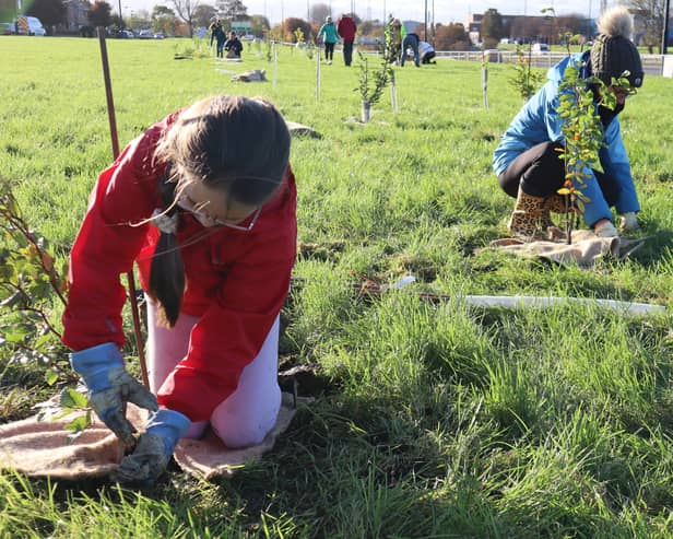 Volunteers plant trees as part of North Tyneside's environmental efforts.
